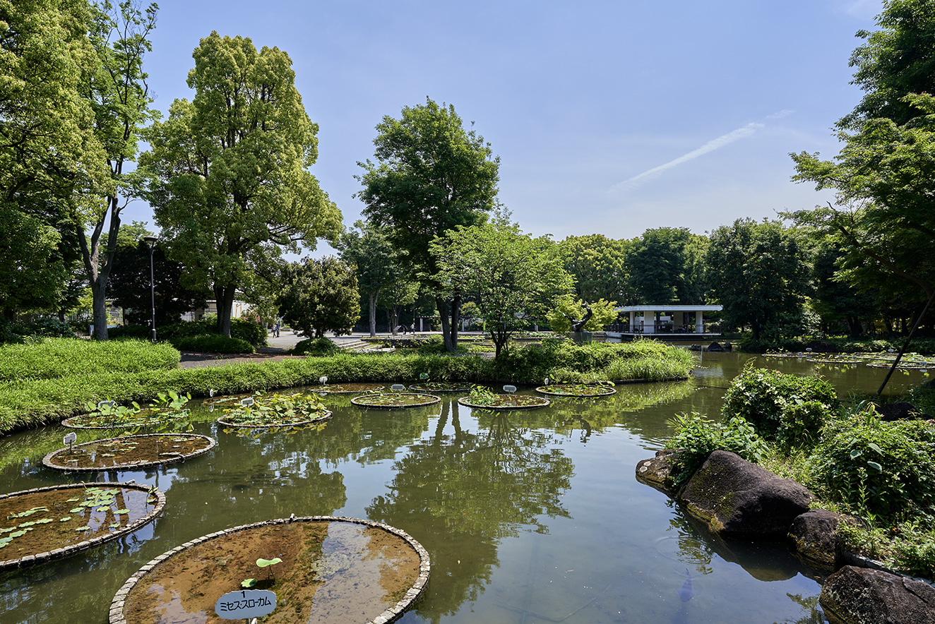 府中郷土の森公園